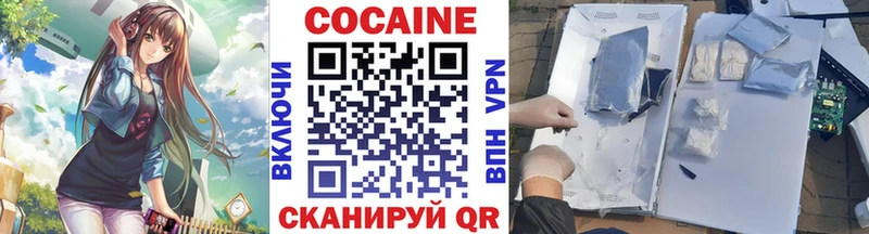 Cocaine FishScale  Купить где  Ноябрьск 