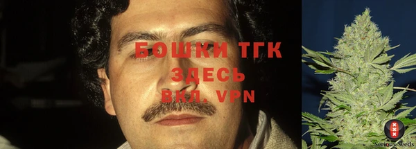 МДПВ Елабуга