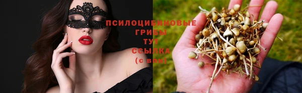 дурь Елизово