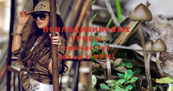 бошки Ельня