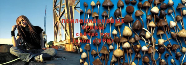 МДПВ Елабуга