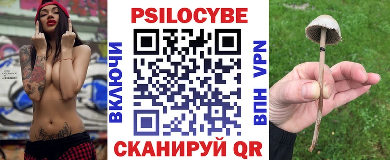 Купить где  Ноябрьск  Псилоцибиновые грибы Psilocybe 